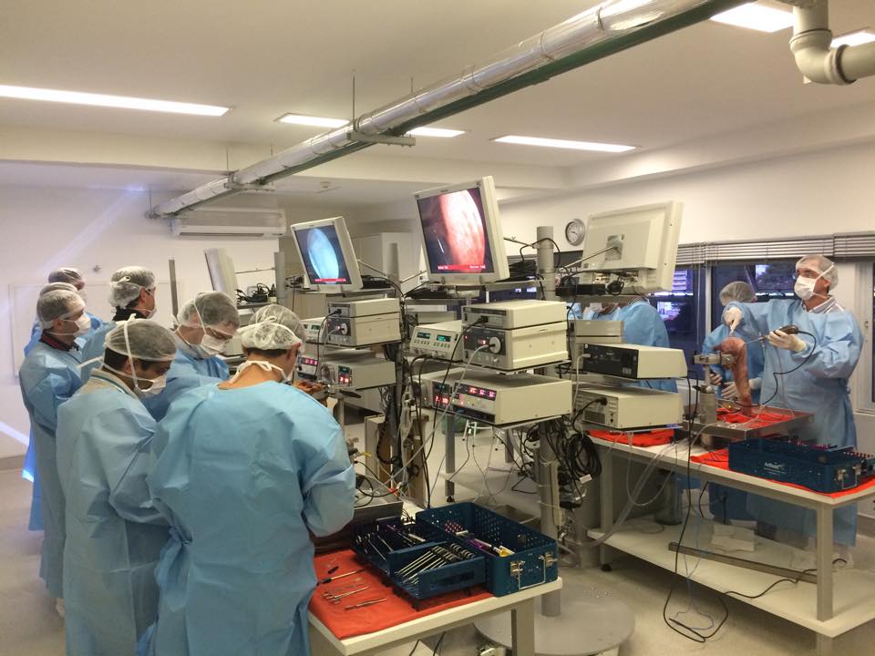 Curso de Artroscopia do Cotovelo 