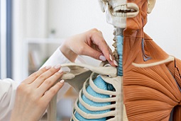 Combo: Cursos EAD Artroplastias do Ombro